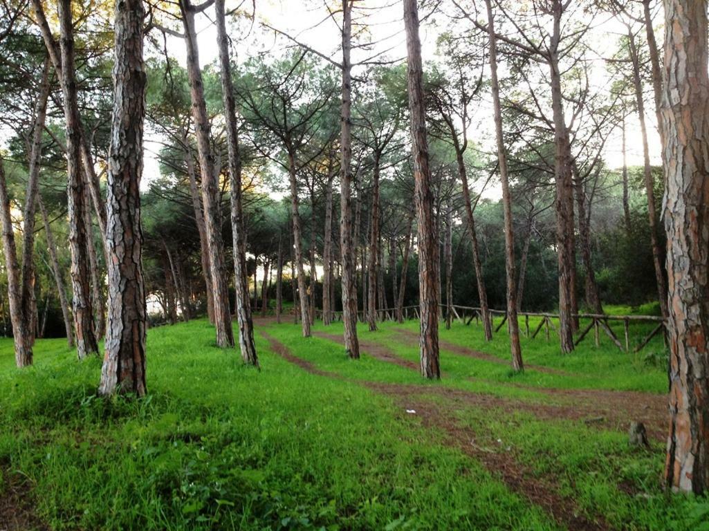 Regina Apartments Alghero Dış mekan fotoğraf