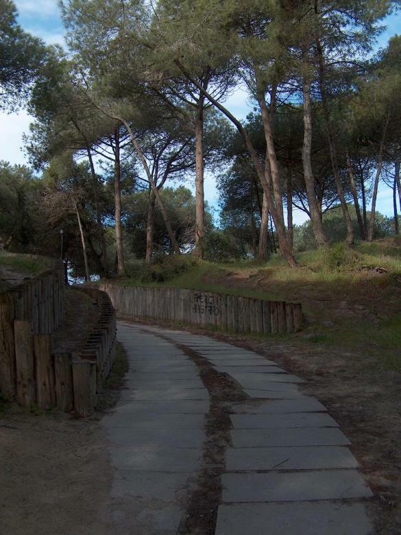 Regina Apartments Alghero Dış mekan fotoğraf