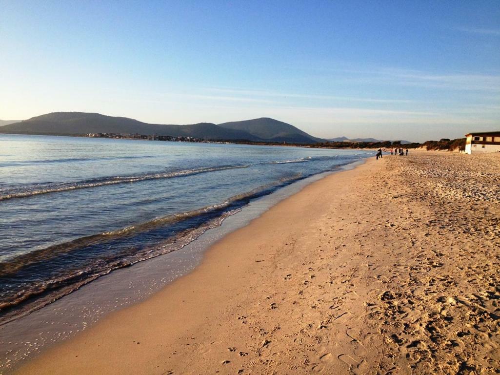 Regina Apartments Alghero Dış mekan fotoğraf