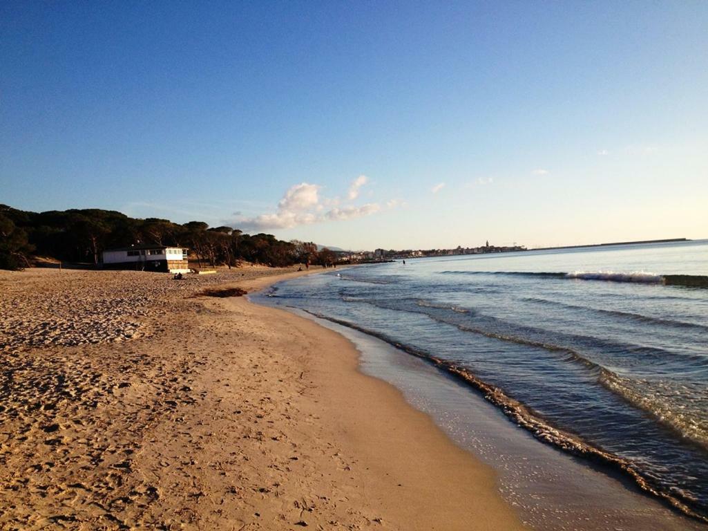 Regina Apartments Alghero Dış mekan fotoğraf