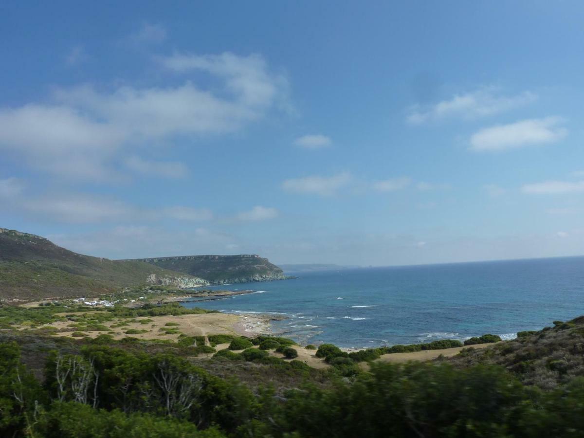 Regina Apartments Alghero Dış mekan fotoğraf